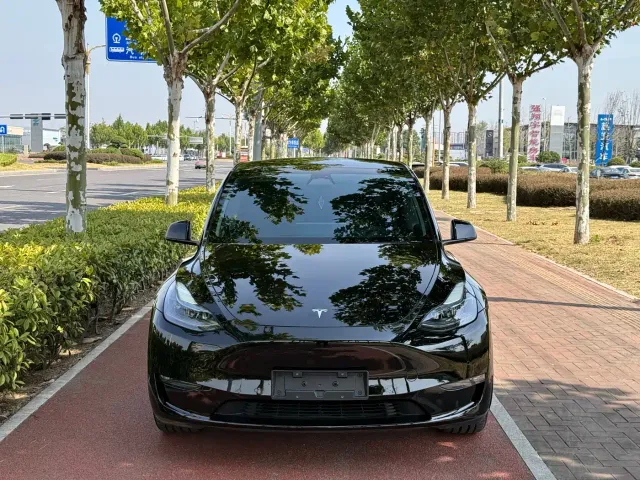 Tesla Model Y — Фото автомобиля 2