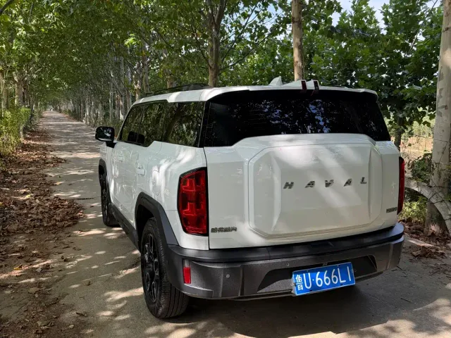 Haval Cool Dog — Фото автомобиля 4