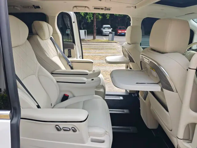 Wey Alpine — Фото автомобиля 13