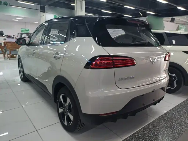 Wuling Binguo PLUS — Фото автомобиля 22