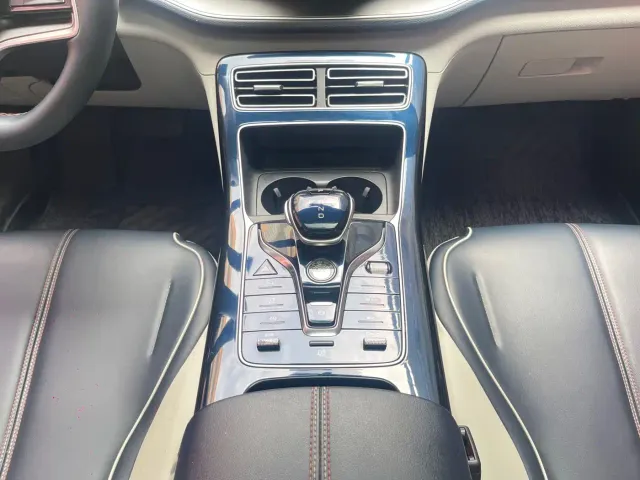 BYD Qin PLUS 2021 EV 500KM Luxury Model — Фото автомобиля 20