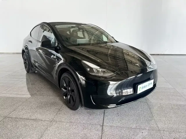 Tesla Model Y — Фото автомобиля 14