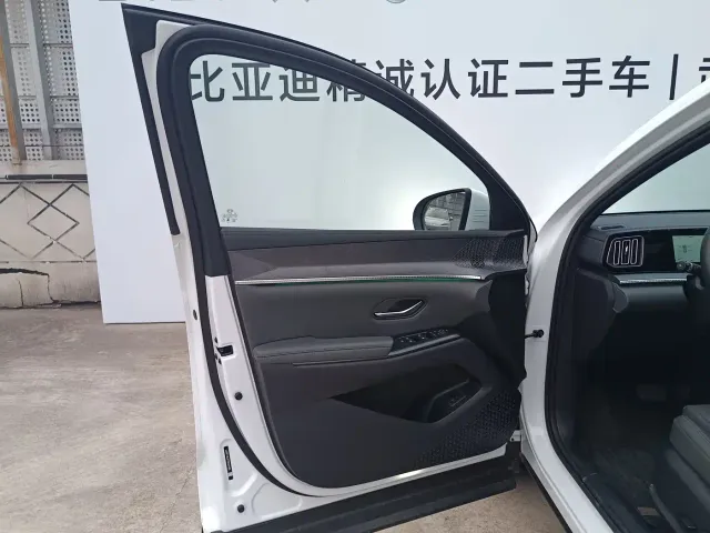 BYD Song Pro — Фото автомобиля 10