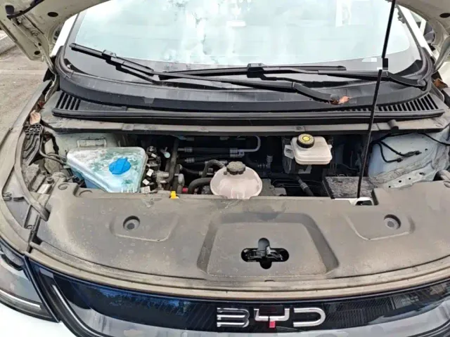 BYD Dolphin — Фото автомобиля 24