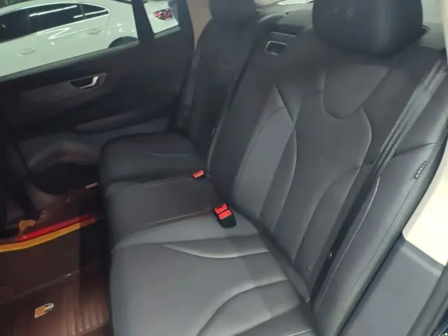 Hongqi E-QM5 — Фото автомобиля 16