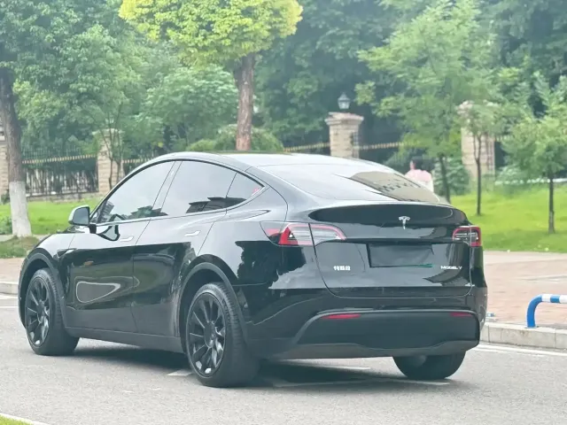 Tesla Model Y — Фото автомобиля 4