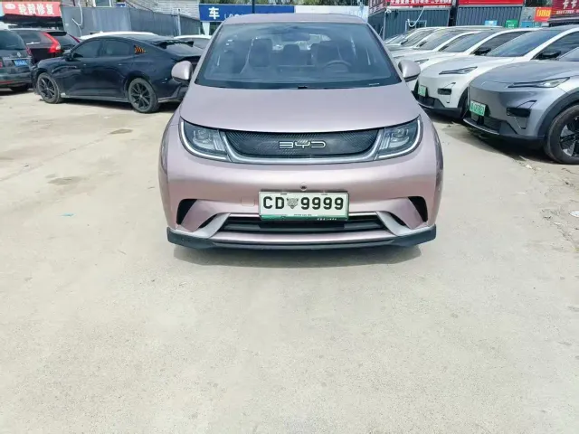 BYD Dolphin — Фото автомобиля 2