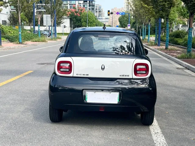 Ora Black Cat — Фото автомобиля 5