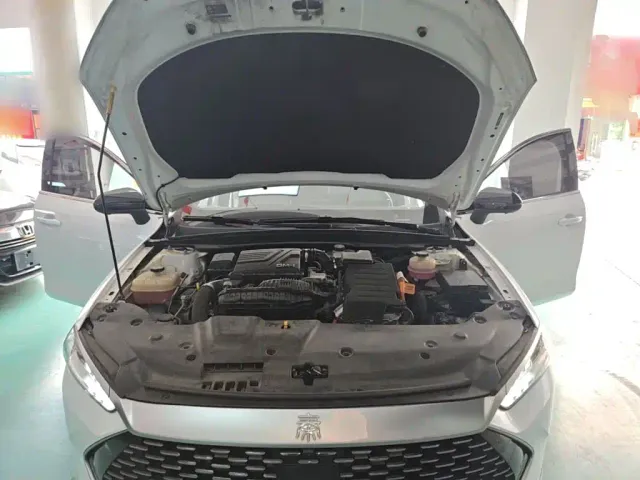 BYD Qin PLUS — Фото автомобиля 19