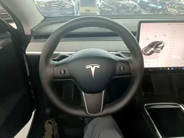 Tesla Model Y — Фото автомобиля 10