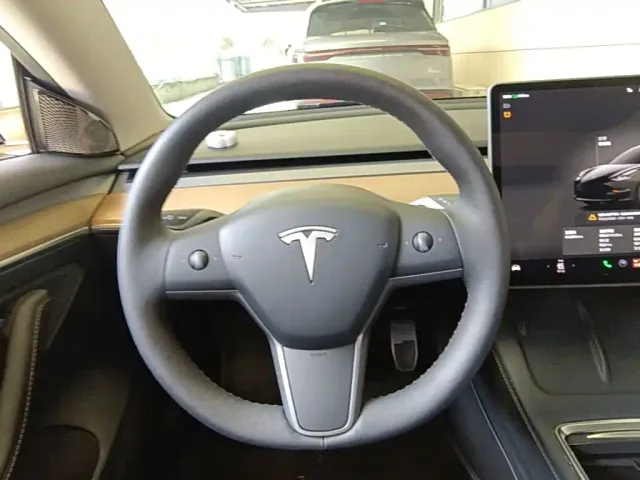 Tesla Model 3 — Фото автомобиля 10