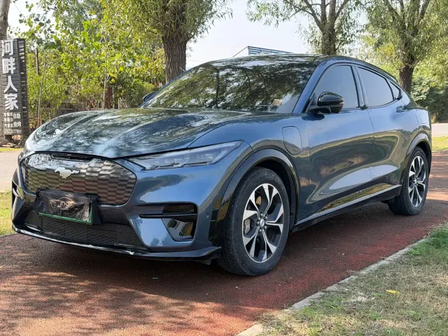 Ford Mustang Mach-E — Фото автомобиля 3