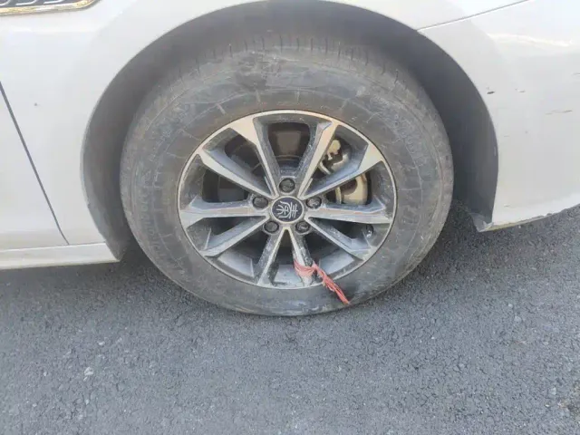 BYD Qin PLUS — Фото автомобиля 25