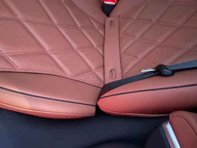 Mercedes-Benz Maybach S-Class — Фото автомобиля 13