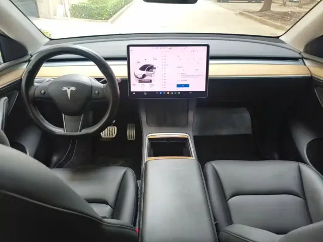 Tesla Model Y 2021 Performance High-Performance AWD — Фото автомобиля 9