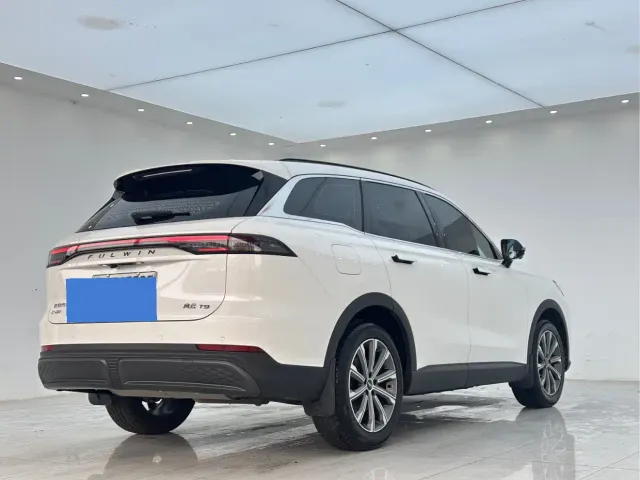 Chery Fulwin T9 — Фото автомобиля 18