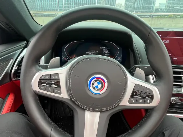 BMW 8 Series — Фото автомобиля 14