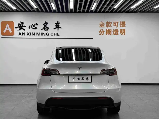 Tesla Model Y — Фото автомобиля 4