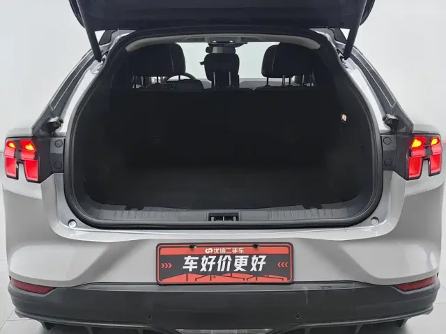 Ford Ford Mustang Mach-E 2021 Leap World RWD (Standard Range) — Фото автомобиля 16