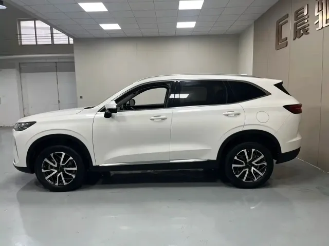 Haval Haval H6 2021 3rd Generation 1.5T Auto 2WD Max — Фото автомобиля 7