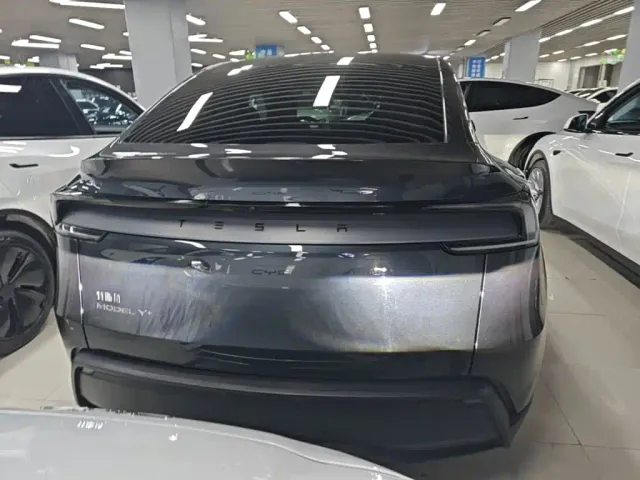 Tesla Model Y — Фото автомобиля 5
