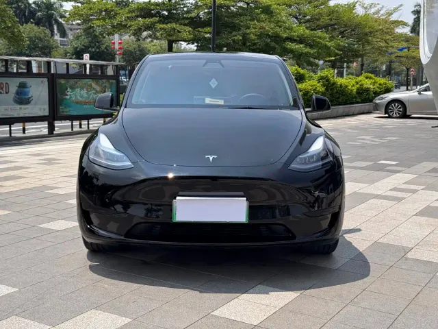 Tesla Model Y — Фото автомобиля 2