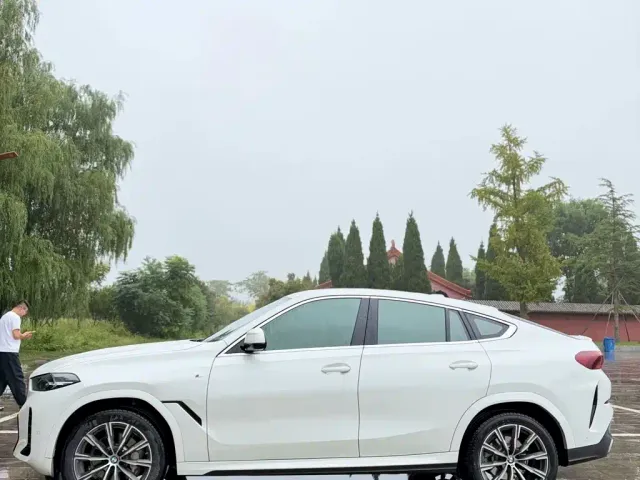 BMW X6 — Фото автомобиля 2