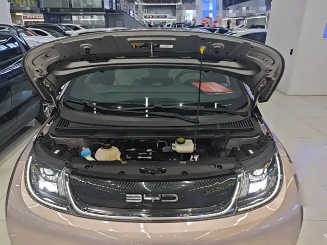 BYD Dolphin — Фото автомобиля 19