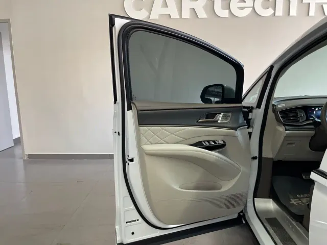 Denza D9 — Фото автомобиля 10
