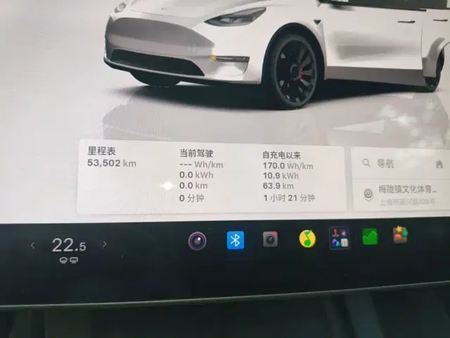Tesla Model Y 2021 Performance High-Performance AWD — Фото автомобиля 11