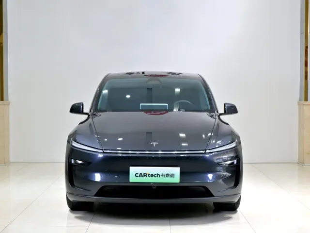 Tesla Model Y — Фото автомобиля 2