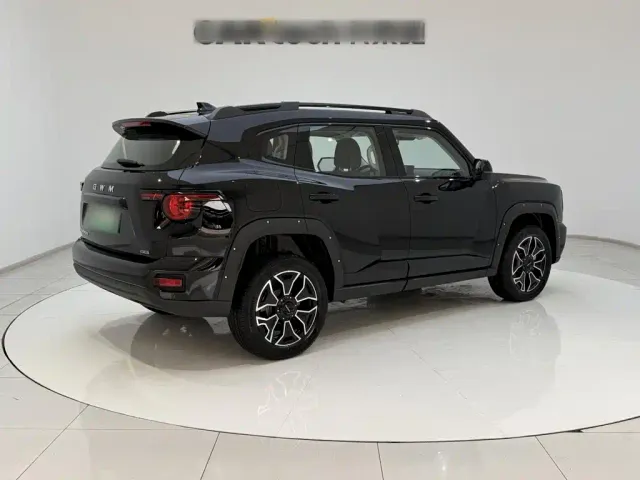 Haval Big Dog — Фото автомобиля 8