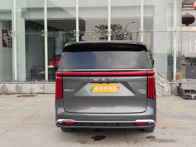 Wey Alpine — Фото автомобиля 16