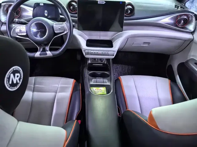 BYD Dolphin — Фото автомобиля 9