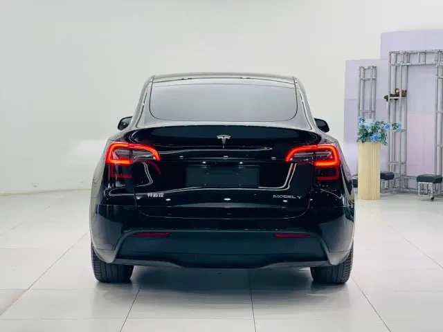 Tesla Model Y — Фото автомобиля 7