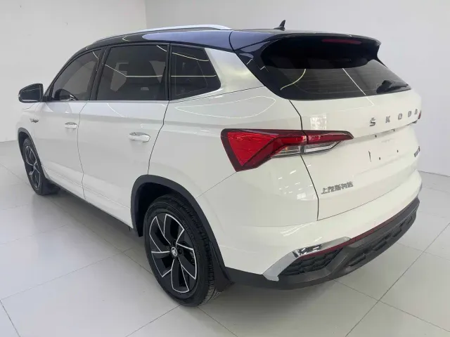 Skoda Kamiq — Фото автомобиля 6