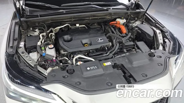 Lexus NX — Фото автомобиля 5