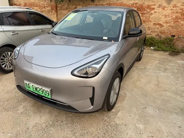 Фотография автомобиля — Geely Starry Wish