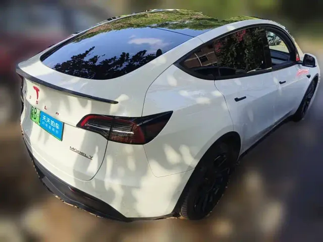Tesla Model Y — Фото автомобиля 2