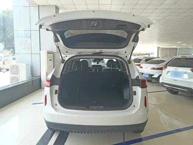 Haval H6 — Фото автомобиля 18