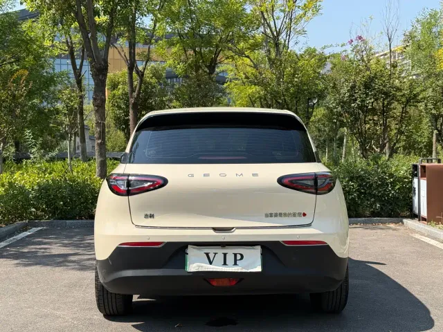 Geely Starry Wish — Фото автомобиля 18