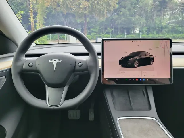 Tesla Model Y — Фото автомобиля 21