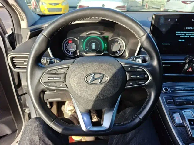 Hyundai Santa Fe — Фото автомобиля 10