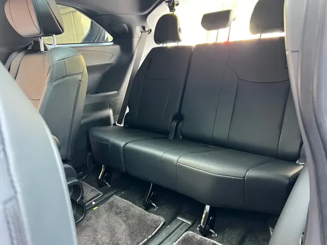 Toyota Sienna — Фото автомобиля 19