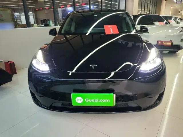 Tesla Model Y — Фото автомобиля 2