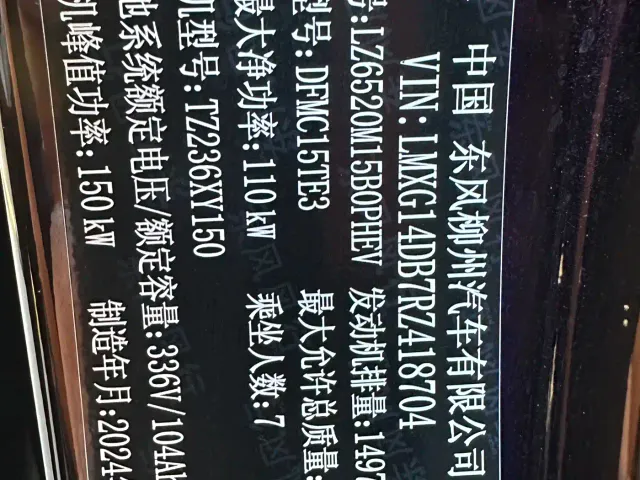 Forthing Xinghai V9 — Фото автомобиля 30
