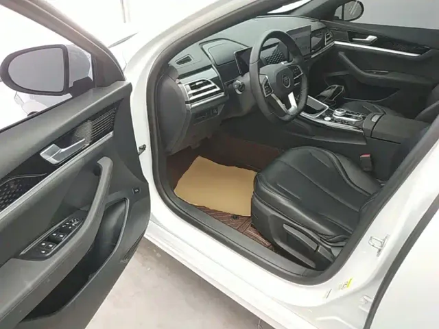 BYD Qin PLUS — Фото автомобиля 15