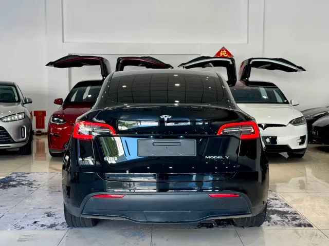 Tesla Model Y — Фото автомобиля 14