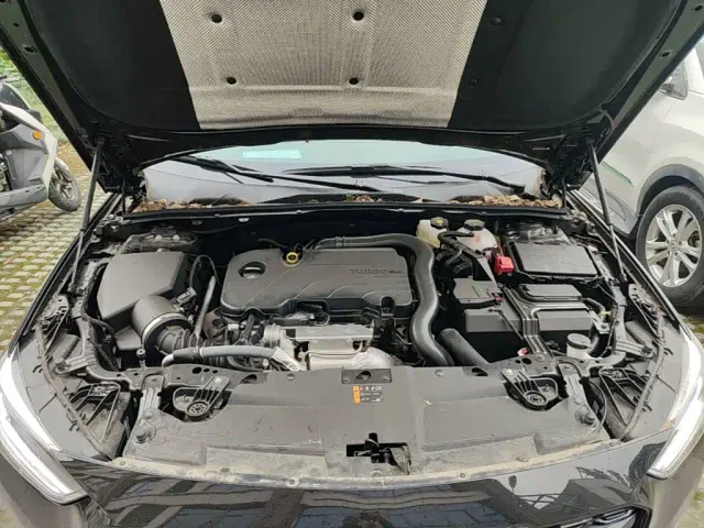 Buick Regal — Фото автомобиля 19