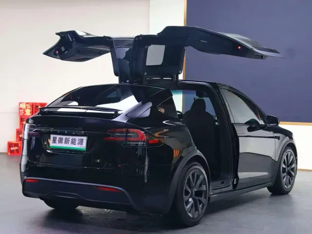 Tesla Model X — Фото автомобиля 16